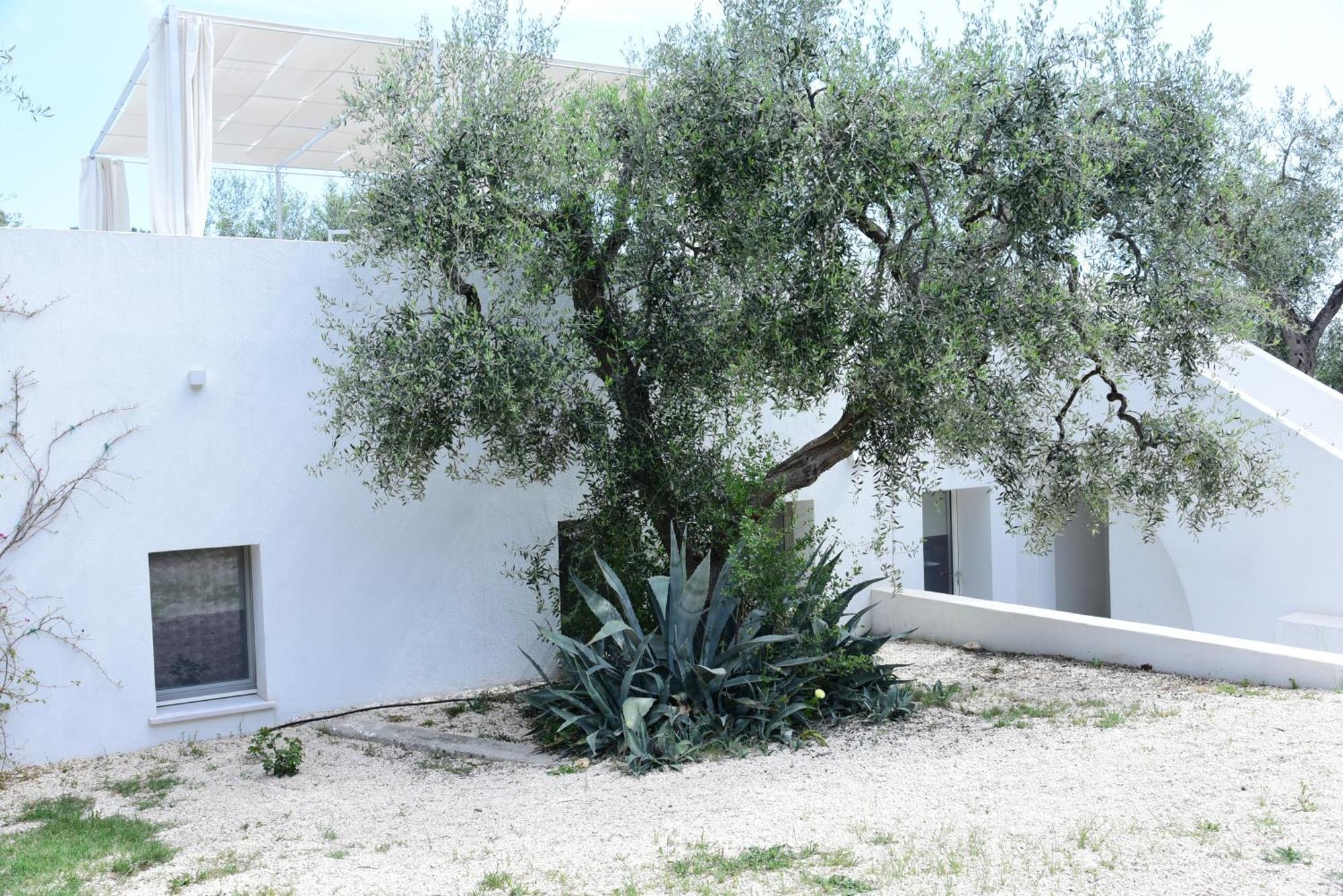 Hmo Glamping & Suites In Vignanotica Mattinata Quarto foto